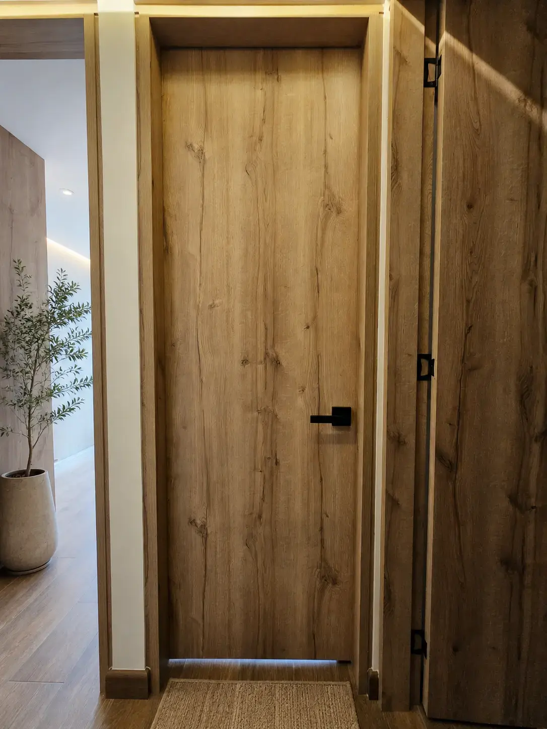 Puerta de madera de entrada junto a una planta